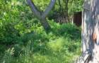 Casa cu 2 camere, bucatarie, baie in zona Aquapark Nymphaea - 8