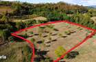 Super view | Teren 8.500 m2 Maramures | Viitorul tau colt de liniste - 1