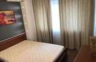 Apartament de inchiriat 2 camere Banu Manta Victoriei Titulescu - 4
