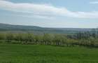 Vand pamant intravilan - 5
