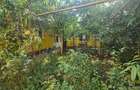 Rahova,Buzoieni, Modoran Ene, 3min linia 32, 226,139