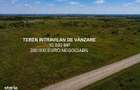 Teren intravilan 10.000 MP, Oportunitate de investitie, BALOTESTI - 2