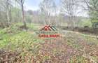 Teren intravilan in Valea Doftanei - Parajul Paltinu--1000 mp--120e - 13