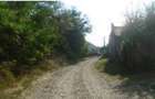 Casa si teren Cota parte 1/2, Viisoara, ID: R2730361 - 3
