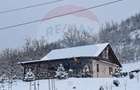 Casa / Vila Cotofanesti Bacau - 8