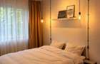 Apartament 1 camera renovat | Central Balcescu | 5 min UVT | Priveliste superba - 3