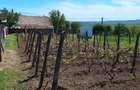 Botosani - 15 min, Casa cu teren de 2500 mp - 18 eur mp - si loturi individuale - 3