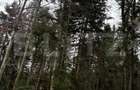 Teren unic, exclusivist 4000 mp, in inima muntilor, Sinaia - Sinaia (Prahova)