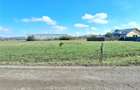 Teren Intravilan Bod-Sat 750 Mp