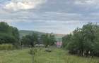Teren Comsesti (TURENI)- Intravilan Zona Centrala 1385 mp - 4