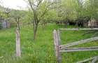 Vand teren intravilan - 4