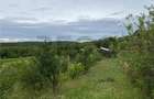 RECO Casa cu teren in Hidiselul de Sus - 4