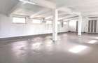Spatiu birouri openspace 220 mp - Circumvalatiunii - Timisoara (Timis) - 3