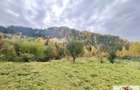 Casa in Muntii Apuseni - Rosia Montana - 5