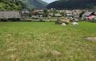 Teren intravilan parcelabil 1000 mp - Rucar, Arges - 2