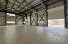 Royal Imobiliare-  Spatiu Industrial Zona Exterior Vest - 3