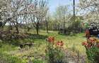 TEREN INTRAVILAN 1400 mp cu cabana ?i livada, in Garbova de Sus (Aiud), zona lini?tita, langa parau - 10