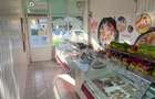 Inchiriere spatiu comercial Barkad - 2