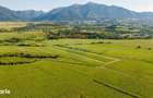 Teren 8,329mp Rasnov / Extravilan / COMISION 0% - 11