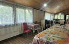 Teren 3100 mp cabana potential investitional Sura Mica Sibiu - 10