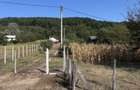 Casa Locuibila complet utilata Samburesti Olt + 2800 mp teren si livada
