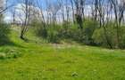 Teren de vanzare , Stalpeni Arges - 7