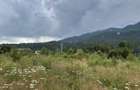 Teren intravilan, 1000 mp, proiect duplex P+E, zona Sinaia - Zamora - 19