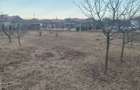 Proprietar vand teren intravilan, 458 mp Alba- Micesti - 2