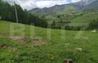 Teren cu fundatie de cabana, intabulat, 1.093 mp Satul Pestera, co