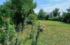 Teren intravilan de vanzare - 4