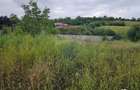 Teren intravilan 2700 mp, Moara-Bulai / Strada Hagigadar, Suceava - 14