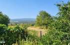 Casa de vanzare in mediul rural lini?te, natura ?i confort - 1