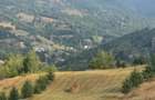 Teren panoramic 6.628 mp Dealul Muncelus, sat Musca, com. Lupsa (Apuseni), jud. Alba, ideal pentru casa de vacanta. - 6