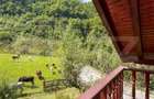 Casa de vacanta cu 4 camere, 1470 mp teren, Sugag - 4