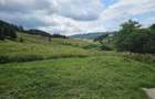 Casa si teren de vanzare in Bucovina Breaza zona Paraul Negrei - 4
