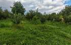 2 terenuri alipite cu case si afacere la cheie in PODENII NOI, SAT VALEA DULCE - 6