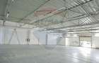 De vânzare Spațiu industrial de 10 129 mp, Șoseaua Borșului - 9