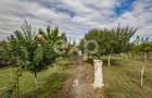 Casă spațioasă cu livadă în Buziaș - 14