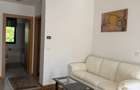 Apartament doua dormitoare inchiriat Timisoara - 5
