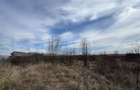 Teren extravilan de vanzare, 15.000 mp, zona Narcise II - 3