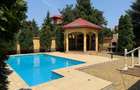Vila 9 camere cu piscina si teren de 1.000 mp - 20