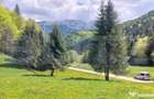 Teren exceptional de vanzare, 5170 mp zona Plaiul Foii, Zar - Zarnesti (Brasov)