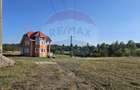 Casa de vacanta cu 8300 mp teren, de vanzare in Preluca Noua!! - 12