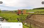 Teren intravilan 2666mp Tofalau (Sangeorgiu de Mure?) - 1
