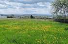 Teren intravilan generos de 2.950 mp în Vârfu Câmpului, Botoșani - 1