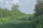 Teren de vanzare Cojasca 5600m2