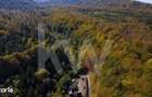 Teren 2.000 mp in Valea Avrigului Padure, apa curgatoare si liniste