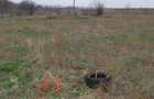 Teren intravilan, Palazu Mare - 306mp - 5