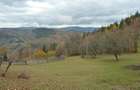 Casa + 4,4 ha (arabil, pa?une, padure), Scari?oara, Alba - 7