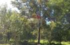 Casă de vânzare în Provita de Sus | Oportunitate de investiție - 24